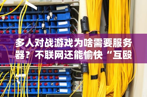 多人对战游戏为啥需要服务器？不联网还能愉快“互殴”吗？