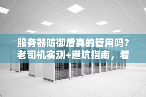 服务器防御盾真的管用吗？老司机实测+避坑指南，看完秒懂！