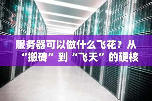 服务器可以做什么飞花？从“搬砖”到“飞天”的硬核科普！