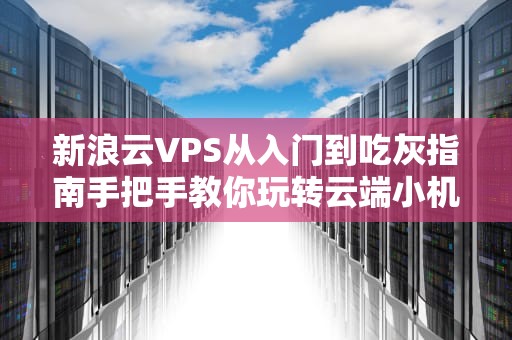 新浪云VPS从入门到吃灰指南手把手教你玩转云端小机机