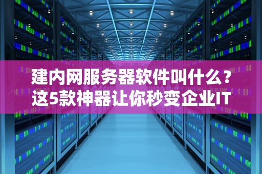 建内网服务器软件叫什么？这5款神器让你秒变企业IT大神！