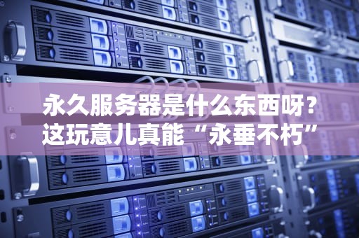 永久服务器是什么东西呀？这玩意儿真能“永垂不朽”吗？