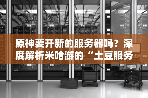 原神要开新的服务器吗？深度解析米哈游的“土豆服务器”扩建计划！