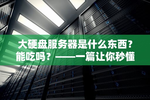 大硬盘服务器是什么东西？能吃吗？——一篇让你秒懂的科普指南