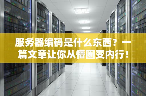 服务器编码是什么东西？一篇文章让你从懵圈变内行！