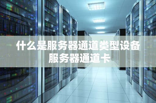 什么是服务器通道类型设备 服务器通道卡