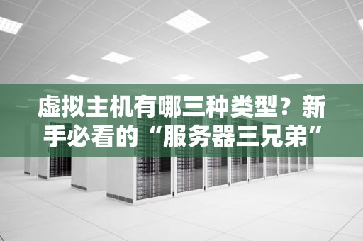 虚拟主机有哪三种类型？新手必看的“服务器三兄弟”大揭秘！