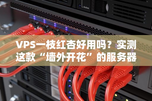 VPS一枝红杏好用吗？实测这款“墙外开花”的服务器到底香不香！
