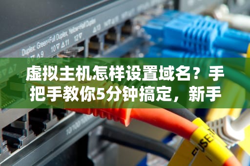 虚拟主机怎样设置域名？手把手教你5分钟搞定，新手也能变大神！