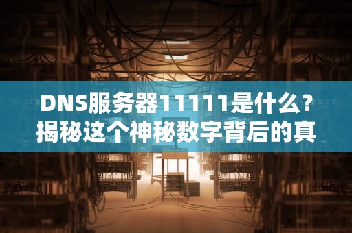 DNS服务器11111是什么？揭秘这个神秘数字背后的真相！