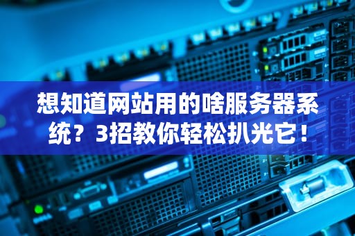 想知道网站用的啥服务器系统？3招教你轻松扒光它！