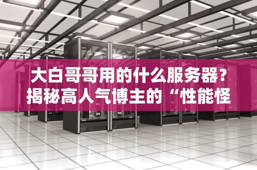 大白哥哥用的什么服务器？揭秘高人气博主的“性能怪兽”配置清单！