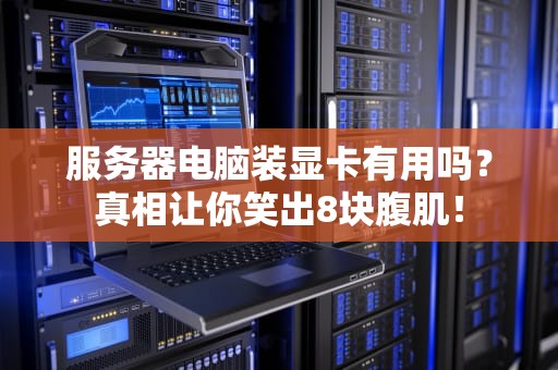 服务器电脑装显卡有用吗？真相让你笑出8块腹肌！