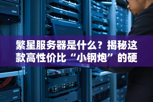 繁星服务器是什么？揭秘这款高性价比“小钢炮”的硬核实力！