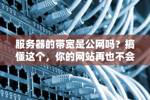 服务器的带宽是公网吗？搞懂这个，你的网站再也不会“龟速”卡成PPT！