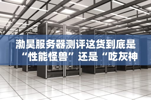 渤昊服务器测评这货到底是“性能怪兽”还是“吃灰神器”？