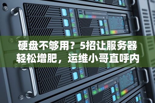 硬盘不够用？5招让服务器轻松增肥，运维小哥直呼内行！