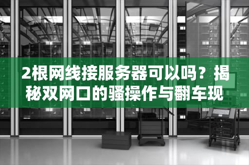 2根网线接服务器可以吗？揭秘双网口的骚操作与翻车现场！