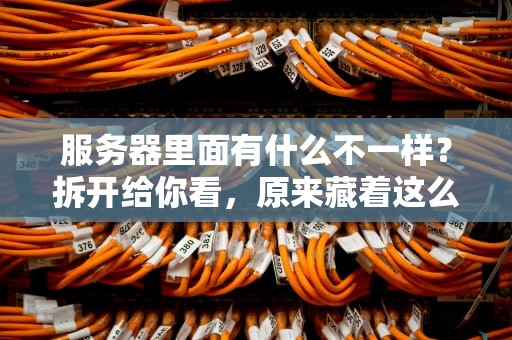 服务器里面有什么不一样？拆开给你看，原来藏着这么多宝藏！