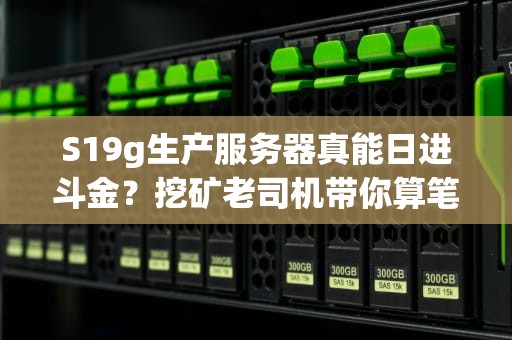 S19g生产服务器真能日进斗金？挖矿老司机带你算笔明白账！