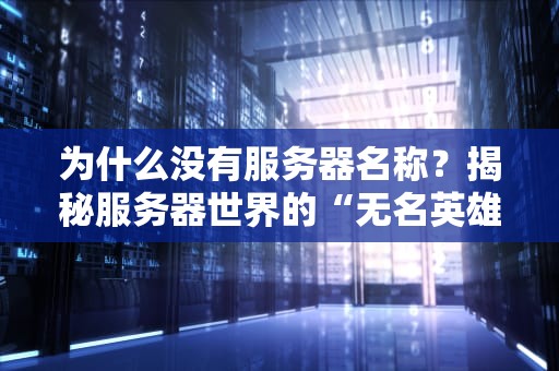 为什么没有服务器名称？揭秘服务器世界的“无名英雄”