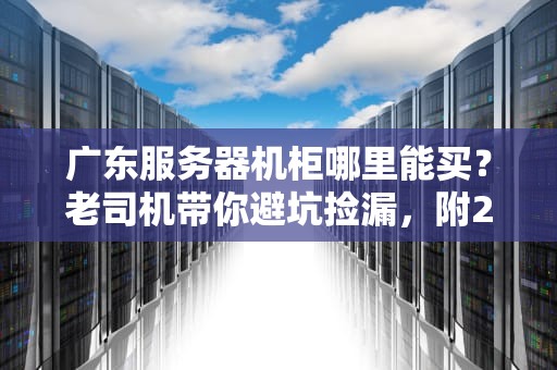 广东服务器机柜哪里能买？老司机带你避坑捡漏，附2024选购终极指南！