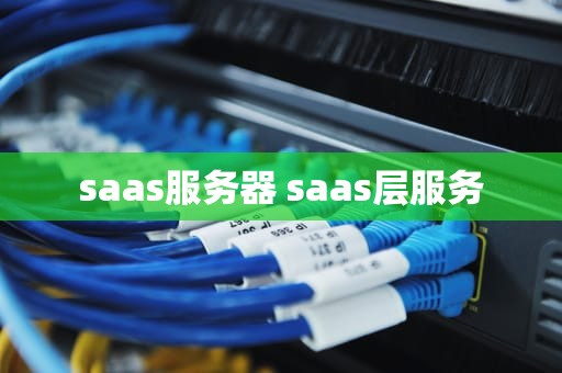 saas服务器 saas层服务