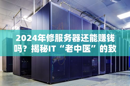 2024年修服务器还能赚钱吗？揭秘IT“老中医”的致富经！