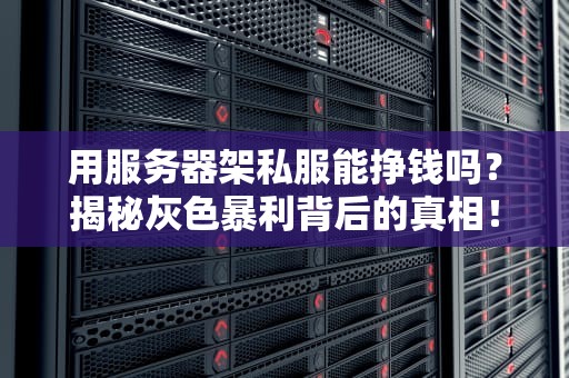 用服务器架私服能挣钱吗？揭秘灰色暴利背后的真相！