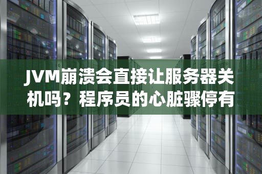 JVM崩溃会直接让服务器关机吗？程序员的心脏骤停有多可怕？