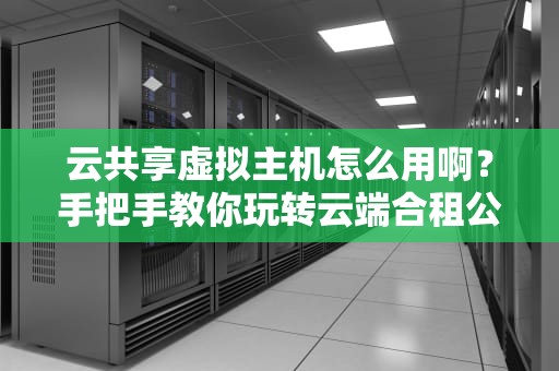 云共享虚拟主机怎么用啊？手把手教你玩转云端合租公寓