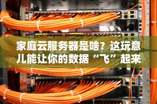 家庭云服务器是啥？这玩意儿能让你的数据“飞”起来！