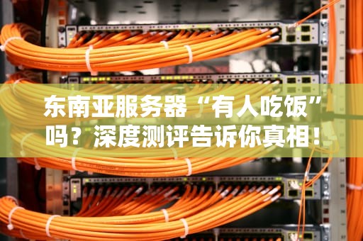 东南亚服务器“有人吃饭”吗？深度测评告诉你真相！