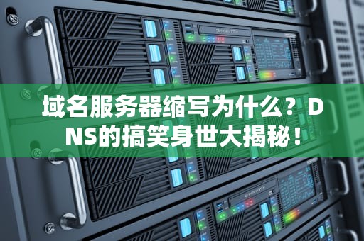 域名服务器缩写为什么？DNS的搞笑身世大揭秘！