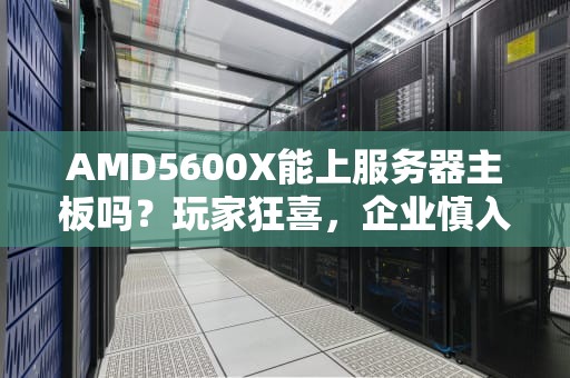 AMD5600X能上服务器主板吗？玩家狂喜，企业慎入！