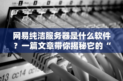 网易纯洁服务器是什么软件？一篇文章带你揭秘它的“纯洁”奥秘！