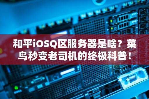 和平iOSQ区服务器是啥？菜鸟秒变老司机的终极科普！