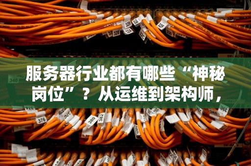 服务器行业都有哪些“神秘岗位”？从运维到架构师，一文揭秘IT界的“幕后英雄”！
