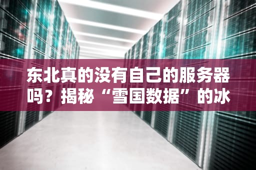 东北真的没有自己的服务器吗？揭秘“雪国数据”的冰与火之歌