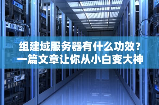 组建域服务器有什么功效？一篇文章让你从小白变大神！