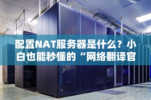 配置NAT服务器是什么？小白也能秒懂的“网络翻译官”指南！