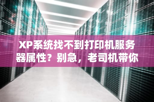 XP系统找不到打印机服务器属性？别急，老司机带你轻松搞定！