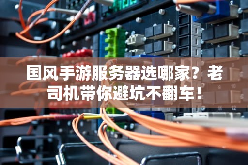 国风手游服务器选哪家？老司机带你避坑不翻车！