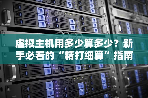 虚拟主机用多少算多少？新手必看的“精打细算”指南！