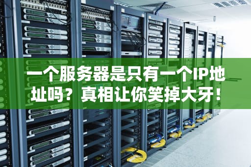 一个服务器是只有一个IP地址吗？真相让你笑掉大牙！