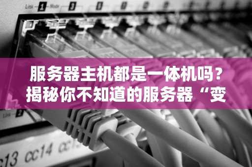 服务器主机都是一体机吗？揭秘你不知道的服务器“变形金刚”家族！