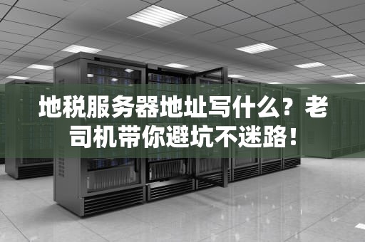 地税服务器地址写什么？老司机带你避坑不迷路！