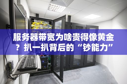 服务器带宽为啥贵得像黄金？扒一扒背后的“钞能力”逻辑！