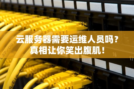 云服务器需要运维人员吗？真相让你笑出腹肌！