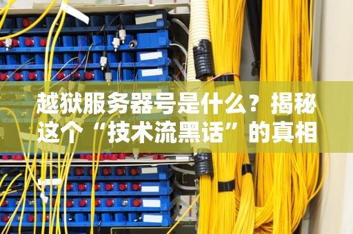 越狱服务器号是什么？揭秘这个“技术流黑话”的真相！